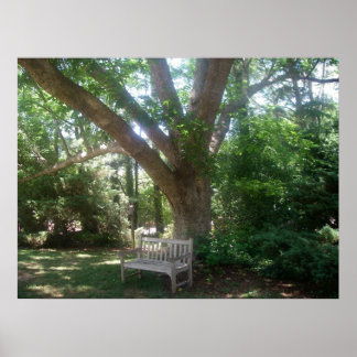 Póster Shady Place to Relax Poster