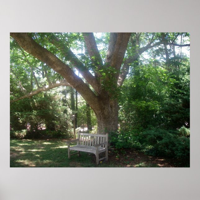 Póster Shady Place to Relax Poster (Frente)