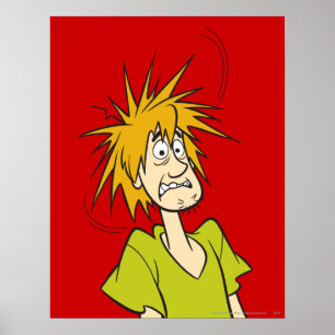 Póster Shaggy asustada