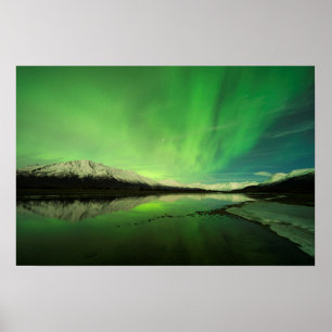 Póster Shallow Aurora