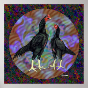 Póster Shamo: Par negro