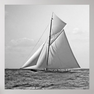 Póster Shamrock II en el exterior Mark 1901 BW