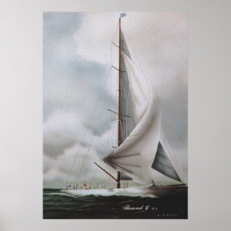 Póster Shamrock IV