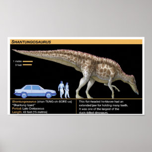 Póster Shantungosaurus - Biología Jurásico