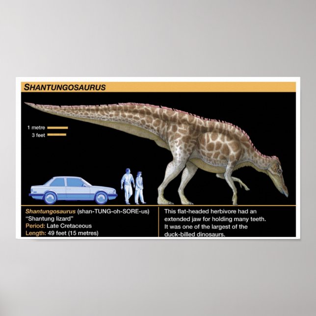 Póster Shantungosaurus - Biología Jurásico (Frente)