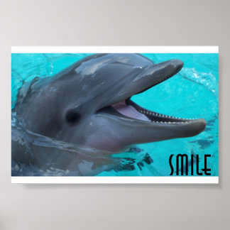 Póster Share a Dolphin's Smile