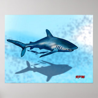 Póster Shark
