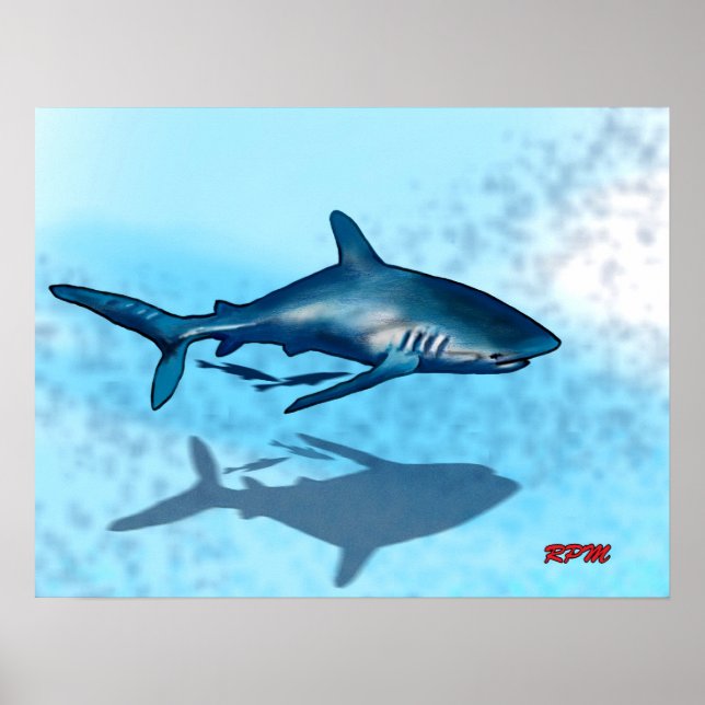 Póster Shark (Frente)