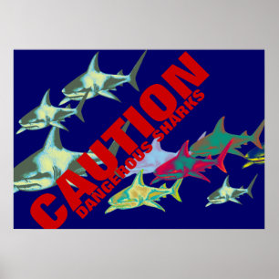 Póster sharks, caution, dangerous