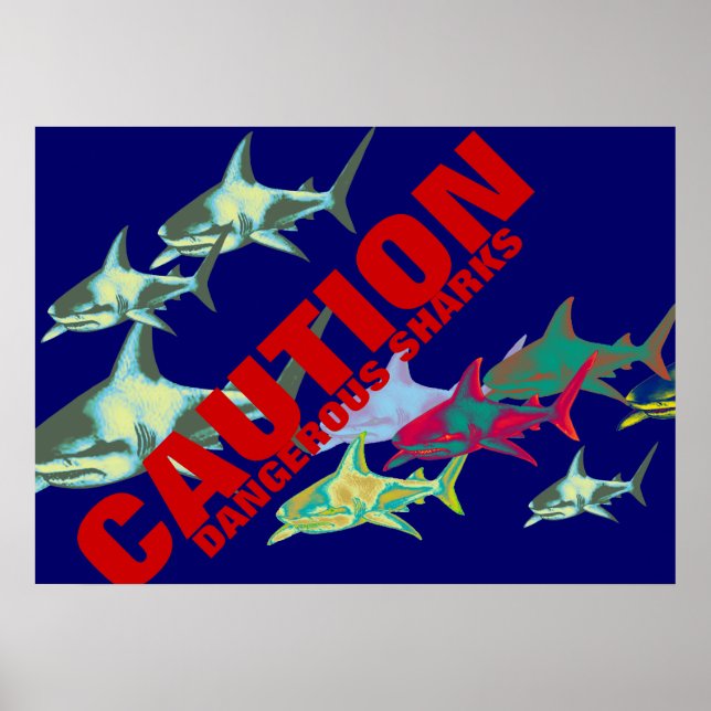 Póster sharks, caution, dangerous (Frente)