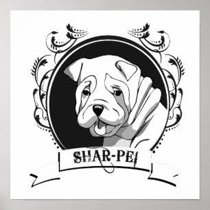 PÓSTER SHARPEI (2)