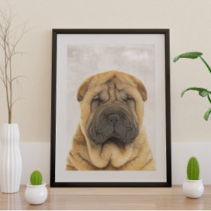 Poster Sharpei Chino