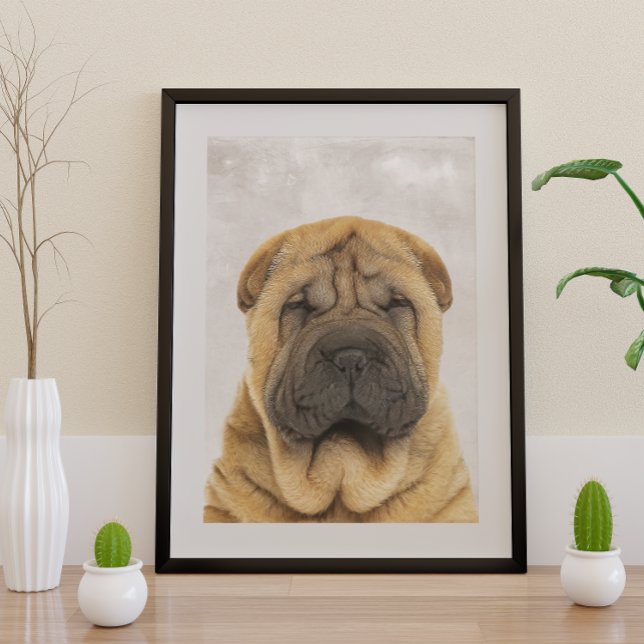 Poster Sharpei Chino (Subido por el creador)