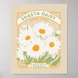 Póster Shasta Daisy Poster