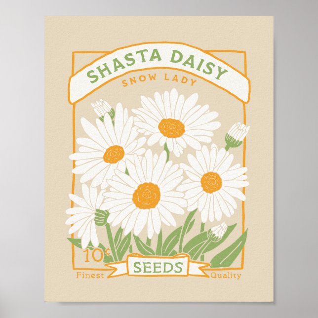 Póster Shasta Daisy Poster (Frente)