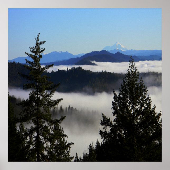 Póster Shasta más allá de la niebla... (Frente)
