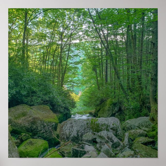 Póster Shays Run, Virginia Occidental (Frente)