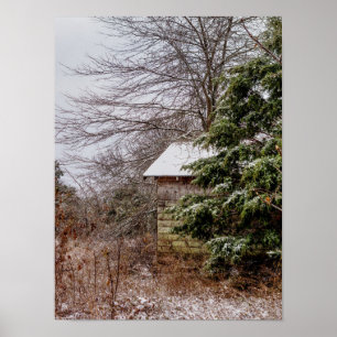 Póster Shed abandonada