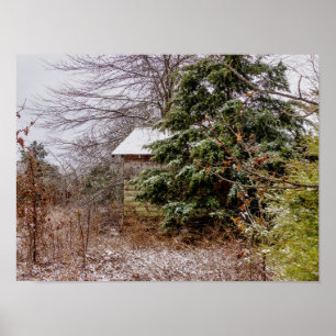 Póster Shed Abandonado