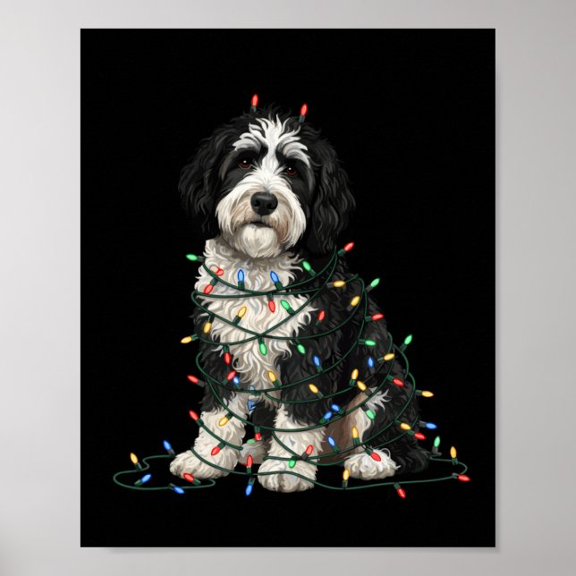 Póster Sheepadoodle Christmas I'm Fine Everything Is Fine (Frente)
