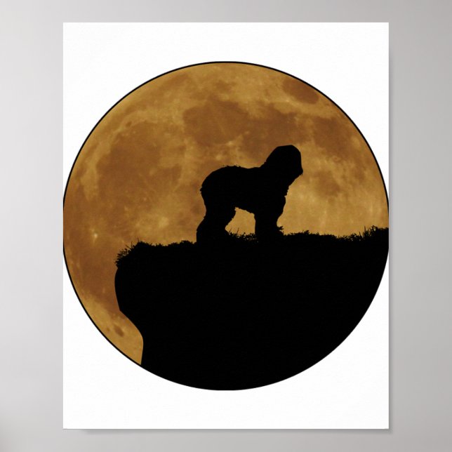 Póster Sheepdog inglés 1 (Frente)