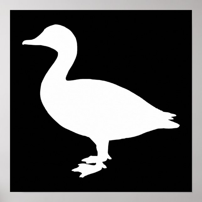 Póster Sheldrake Duck (Frente)