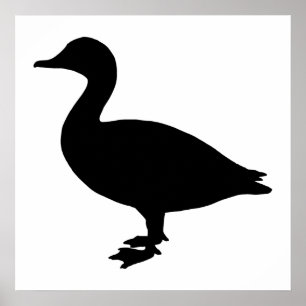 Póster Sheldrake Duck