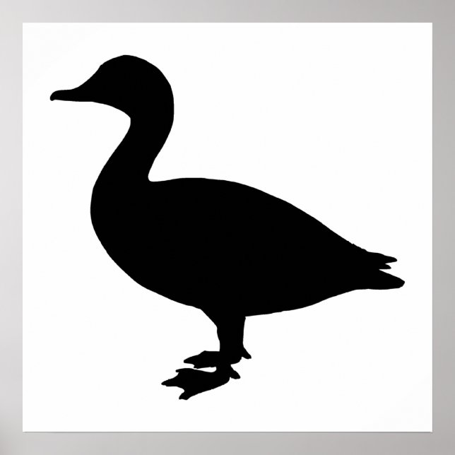 Póster Sheldrake Duck (Frente)