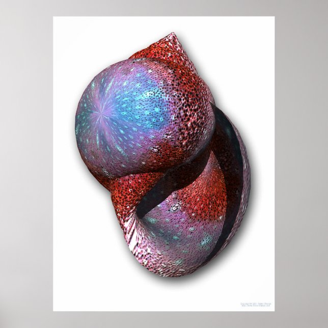 Póster Shell (Frente)