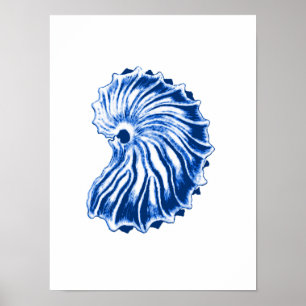 Póster Shell, azules añiles y blanco espirales