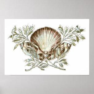 Póster Shell blanco