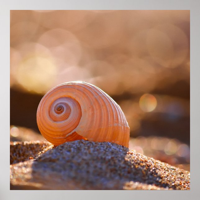 Póster Shell Bokeh |Grecia (Frente)