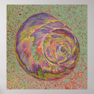 Póster Shell de Pastel