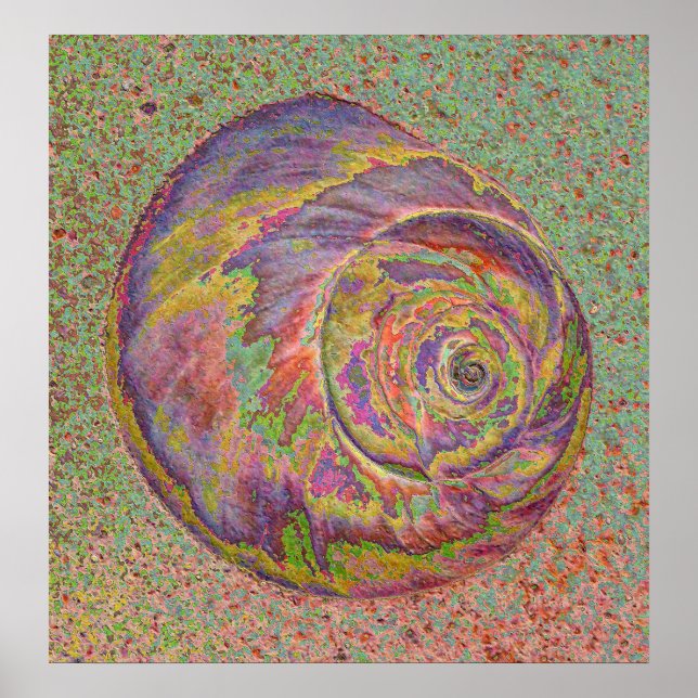 Póster Shell de Pastel (Frente)
