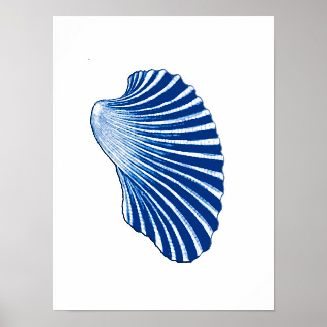 Póster Shell de vieira, azul índigo y blanco (Frente)