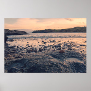 Póster Shell en el mar del Norte