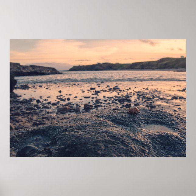 Póster Shell en el mar del Norte (Frente)