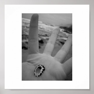 Póster Shell in hand