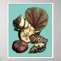 Shell turquesa y colección de corales rojos