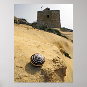 Póster Shell y Torre, Gozo