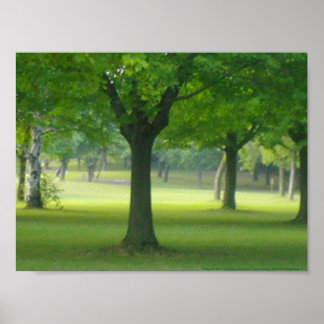 Póster Shellis Canvas Print, sin marco "The Magic Forest"