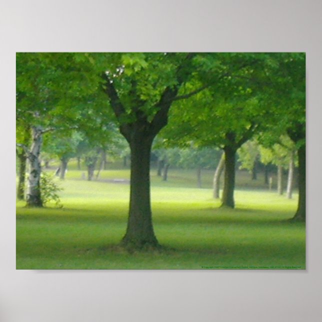 Póster Shellis Canvas Print, sin marco "The Magic Forest" (Frente)