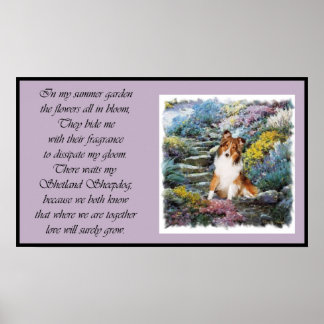 Póster Sheltie Art Where Love Groing