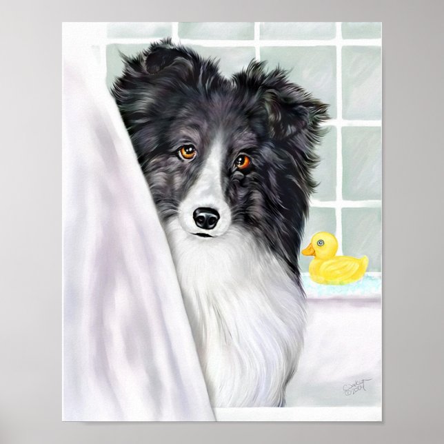 Póster Sheltie Bath Bi Black (Frente)