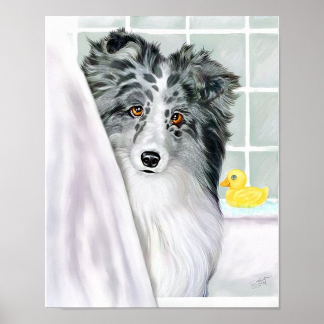 Póster Sheltie Bath Bi Blue (Frente)