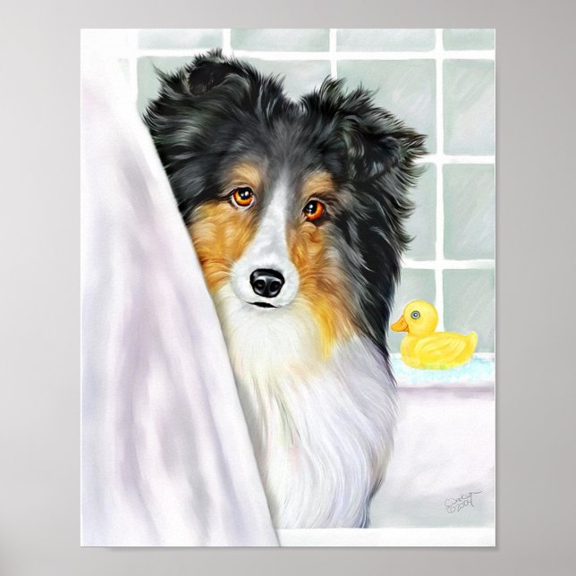 Póster Sheltie Bath Tri Color (Frente)