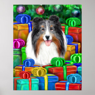 Póster Sheltie Navidades abren regalos azul Merle