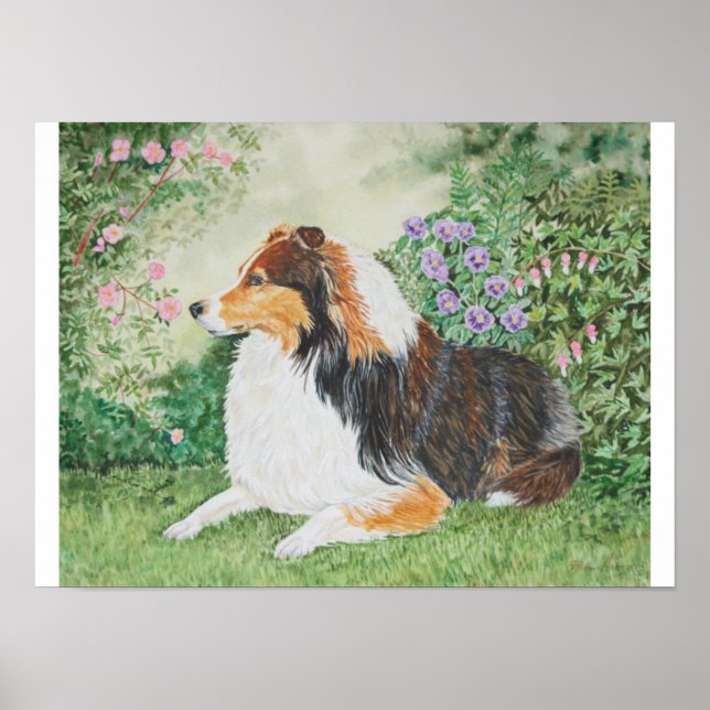Póster Sheltie Summer (Frente)