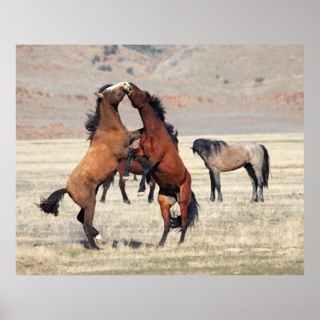 Póster Shenanigans (Frente)