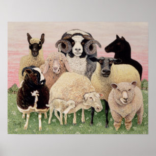 Póster Shepherds Delight